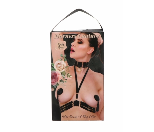 Halter Harness Plus O-Ring Collar Satin Adjustable Black