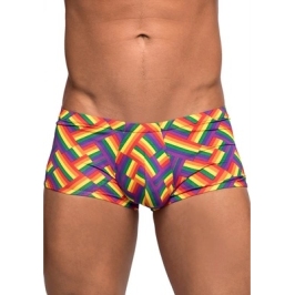 Mini Short - M - Pride