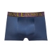 Enhancer Short - L - Antique Blue