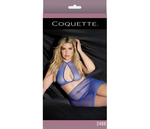 Fishnet Top and Skirt - Plus Size
