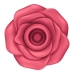 Pro 2 - Classic Rose