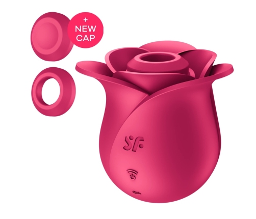 Pro 2 - Modern Rose