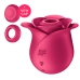 Pro 2 - Modern Rose