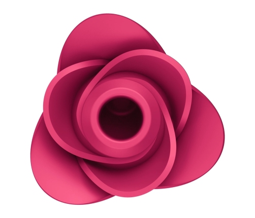 Pro 2 - Modern Rose