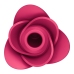 Pro 2 - Modern Rose