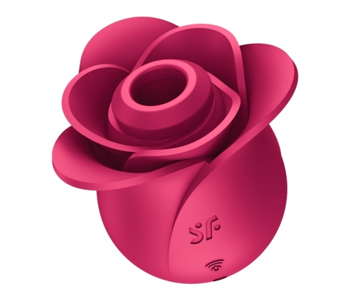 Pro 2 - Modern Rose