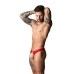 Male Power Boneyard Cobalt Open Ring Thong S/M Red - Adjustable Waistband