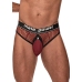 Cock Ring Thong - S/M - Burgundy