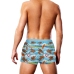 Swim Trunk Gaywatch Bears - L