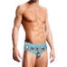 Swim Brief Gaywatch Bears - M