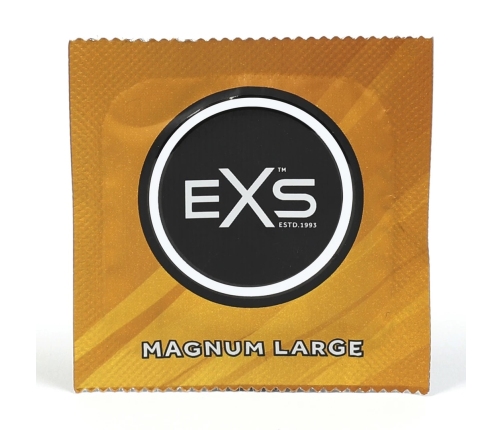 Magnum Large Retail Pack - 48 Pieces
