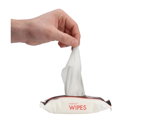Wipes - Anti-Bacterial - 25 Pieces