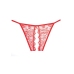 Enchanted Belle - Crotchless Panty - One Size