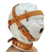 Total Sensory Deprivation Leather Hood - M/L - White