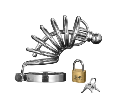 Asylum - Chastity Cage with 6 Rings - M/L