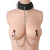 Submission - Collar and Nipple Clamp Union