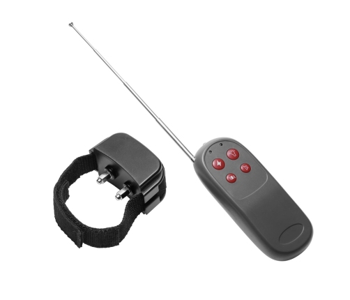 Cock Shock - Electro Stimulation Cockring with Remote Control