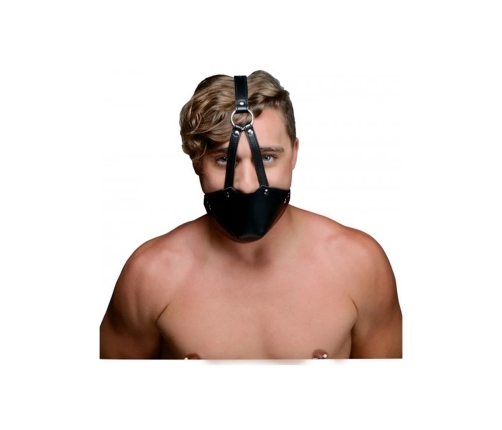 Mouth harness with Ball Gag