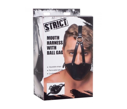 Mouth harness with Ball Gag