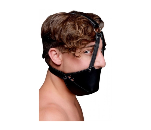 Mouth harness with Ball Gag