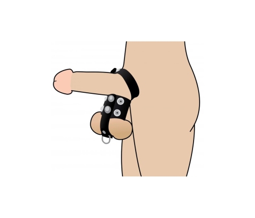 XR Brands Master Series Adjustable Support Ring & Ball Separator Black