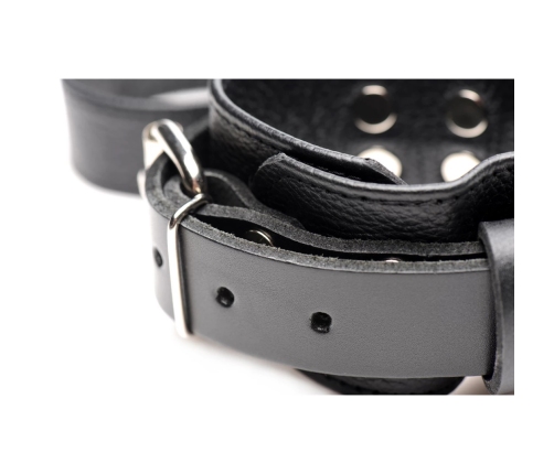 Leather Bed Restraint Kit