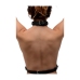 Chest Harness for Women