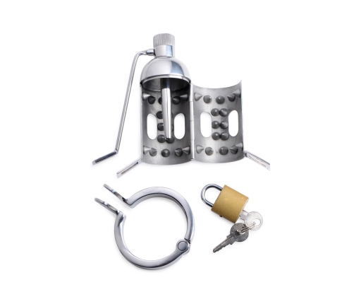 Spiked Chamber Chastity Cage