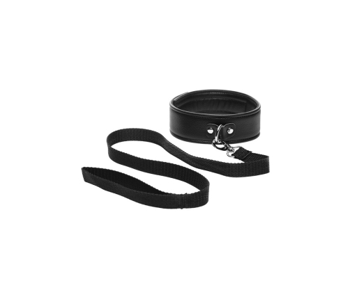 Puppy Play Set