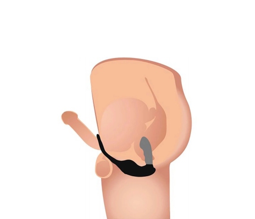 Milking and Vibrating Prostate Massager + Harness with 7 Speeds