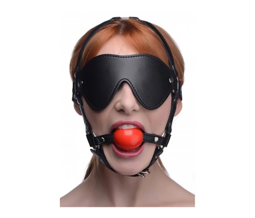 ST Blindfold Harness with Ball Gag