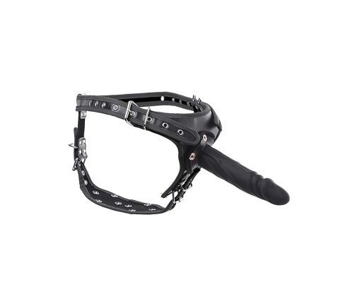 Harness with Double Penetration Strap-On