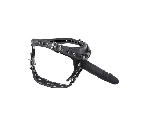 Harness with Double Penetration Strap-On
