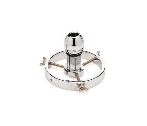 Forced Spread - Stainless Steel Anal Explorer