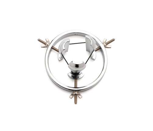 Forced Spread - Stainless Steel Anal Explorer