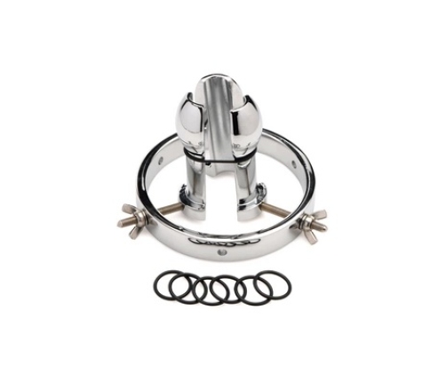 Forced Spread - Stainless Steel Anal Explorer