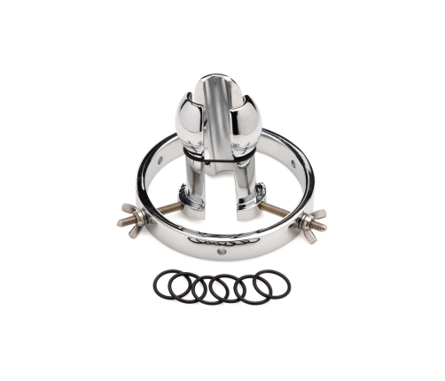 Forced Spread - Stainless Steel Anal Explorer
