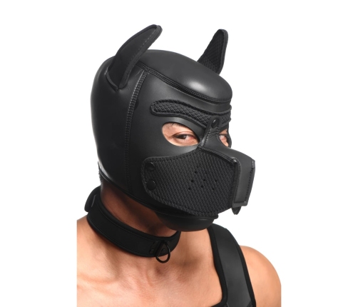 Full Pup Arsenal Set - Black