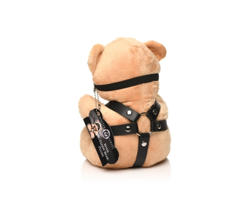 BDSM Bear