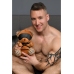 Rope Bondage Bear