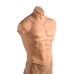 Ripped Silicone Male Chest Small - Lifelike Muscular Upper Body Shirt