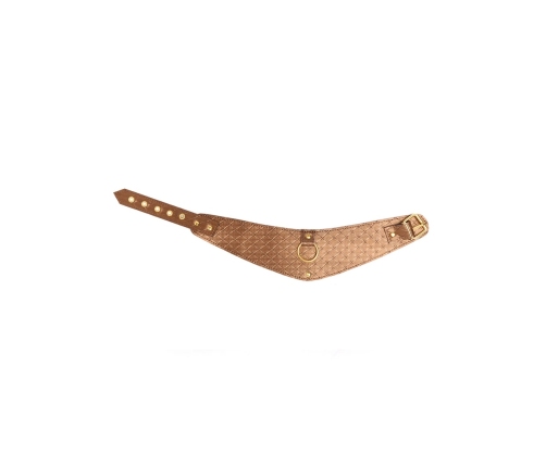 Look at Me - Posture Collar