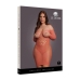Long-Sleeved Net Mini Dress - Queen Size