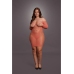 Long-Sleeved Net Mini Dress - Queen Size