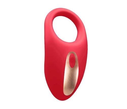 Satisfyer Poise Red - Dual Motor Silicone Intimate Stimulation Set