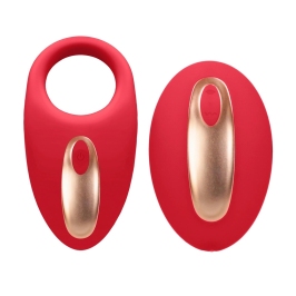 Satisfyer Poise Red - Dual Motor Silicone Intimate Stimulation Set