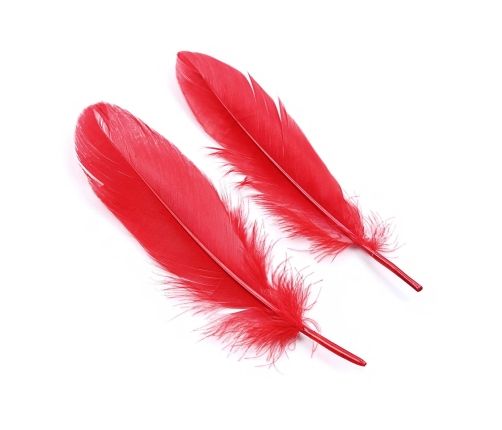 Lover's Dream 4-Piece Soft Bondage Essentials Kit Red Beginner Set