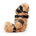 Crushious Crushito Plush Bear 31cm Black - Decorative Collectible with Harness