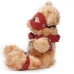 Crushious Crushito Plush Bear 31cm Red with Decorative Harness & Mask