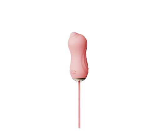Sucking Vibrator with Pump